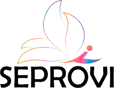 Consultoria SEPROVI